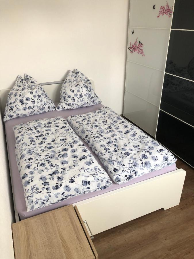 Ferienwohnung Janson Wiesenbach 외부 사진